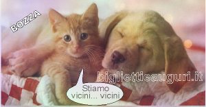 biglietto con cane e gatto per un'amicizia impossibile