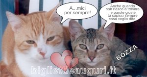 biglietto di amicizia simpatico con animali