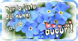 fiori nontiscordardime nel bigliettino per i nonni