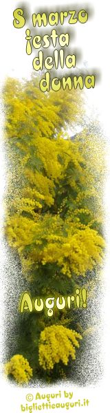 8 Marzo auguri con le mimose