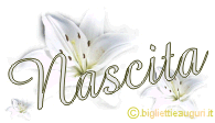 Auguri nascita con giglio bianco